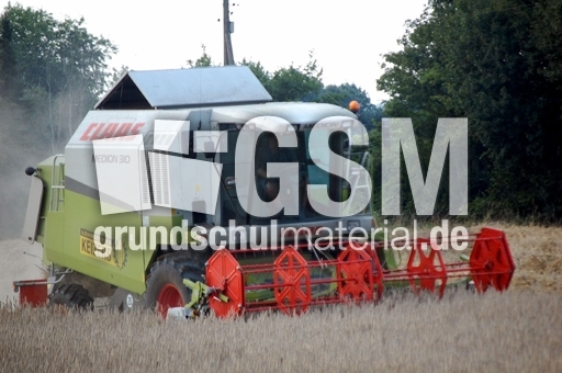 Mähdrescher_1.JPG